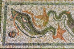Mosaic of a swimming dolphin