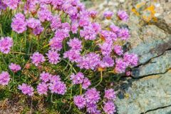 The island is a nature-lover's paradise