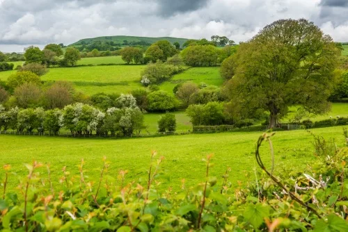 Alabum Roman fort from the churchyard