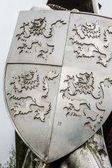 Llewelyn ap Gruffudd Fychan, shield