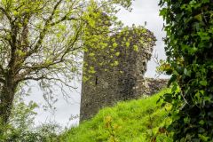Looking from the base of the motte