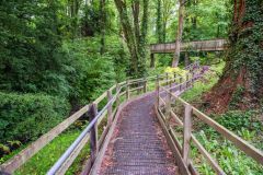 The tree Trail through the woodland