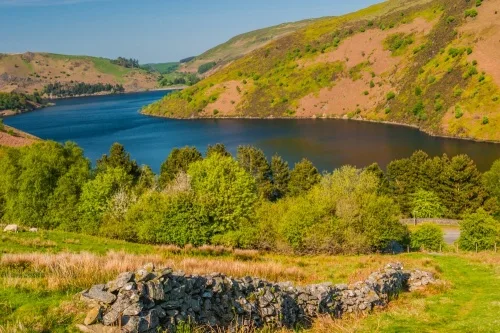 A drystone wall above the lake