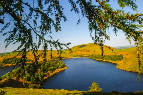 A glorious viewpoint over Llyn Clywedog