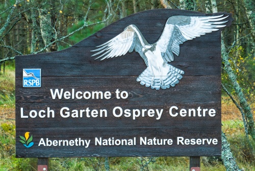 Loch Garten Osprey Centre