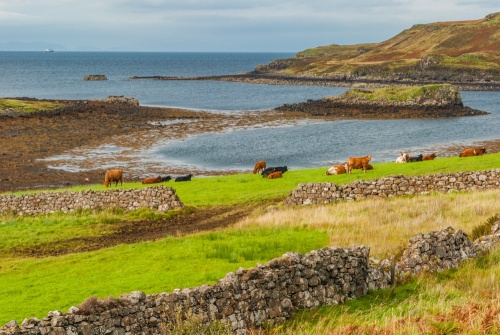 The route passes the ruins of Dun Maraig
