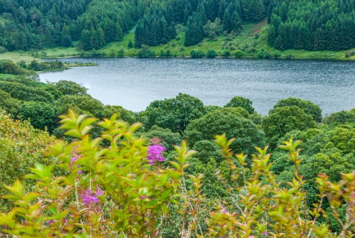 Loch Trool from Bruce's Stone