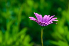 Lush colours are everywhere