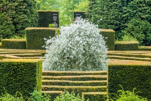 The centre of the Chatsworth maze