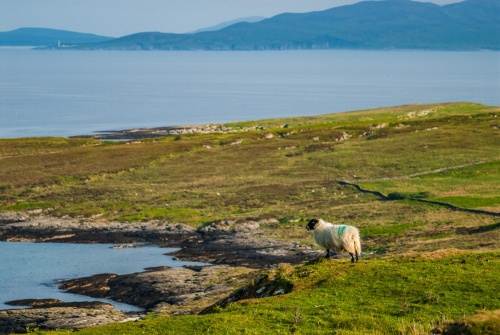 The view from the Lord Colonsay Monument