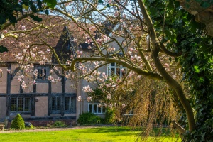 The Master's Garden