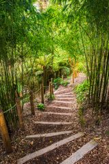 A footpath through The Jungle garden