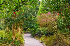 A colourful path in the Northern Gardens