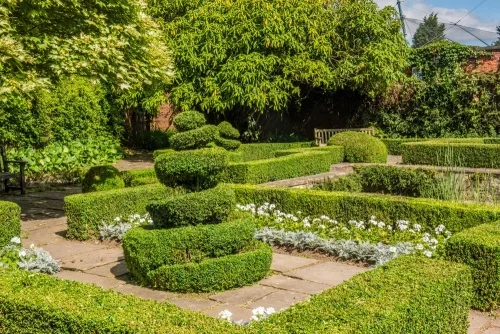 The William and Mary Garden