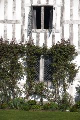 The Hall timber-framing and windows