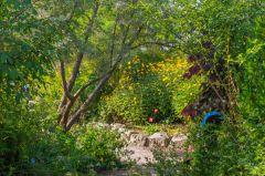 The UK and Europe area of the World Garden