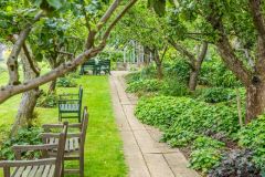 The central path to the Fernery