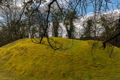 At the base of the fort earthwork defenses