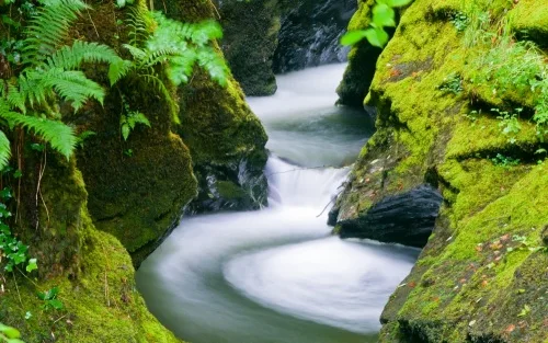 Devil's Cauldron, Lydford Gorge