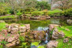 A Japanese-style pool near the entrance