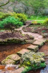 Stepping stones across the stream