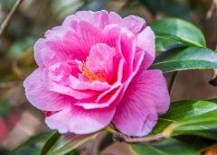 Bright spring colours abound