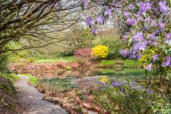 A colourful path beside a quiet pond