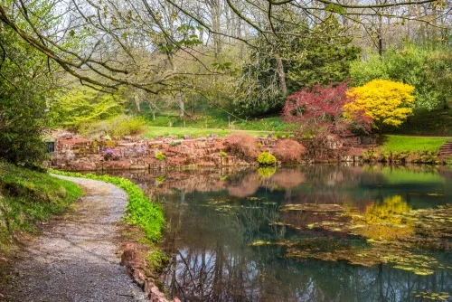 A quiet pond in the lower woodland garden
