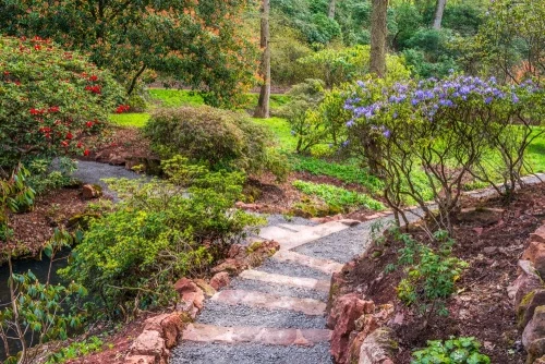 Paths wind through the woodland gardens