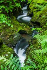 Lydford Gorge, The river near Devil's Cauldron