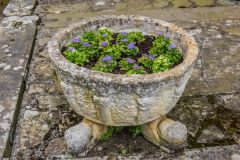 A medieval font bowl used as a flower pot