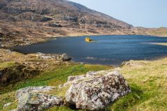 The loch and Tower from the hillside