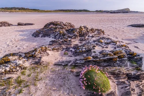 Machrins beach (Tobar Fuar)