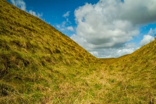 In the earthwork ditch