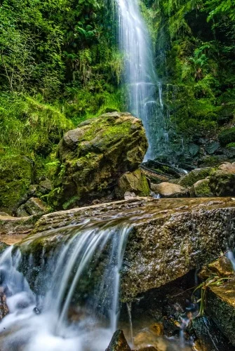 Mallyan Spout Waterfall