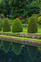 Clipped topiary line a fishpond