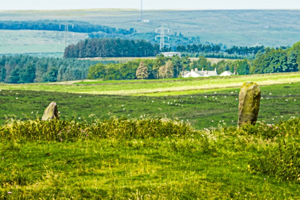 Mare and Foal Standing Stones