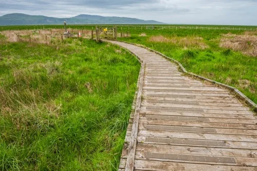 Boardwalk leading to the Martyrs' Stake