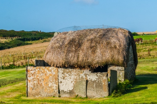 The thatched pig hut