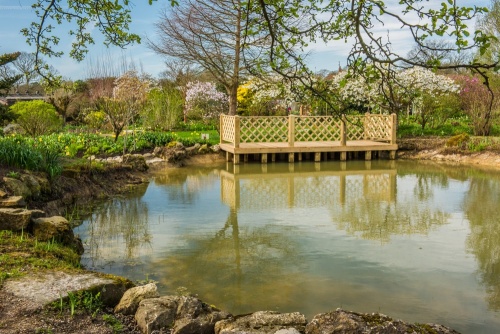 Merriments Garden pool