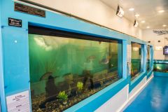 The aquarium interior