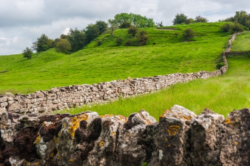 William's Hill, Middleham