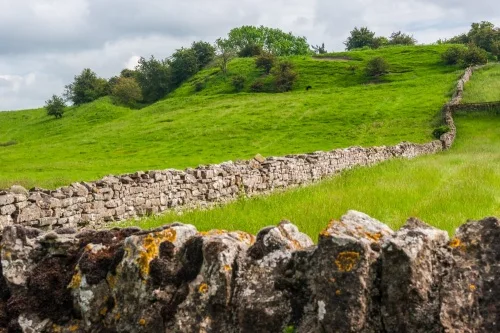 William's Hill, Middleham