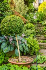 Steps up to Millgate House