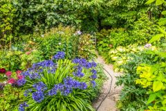 Gravel paths on the upper terrace