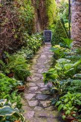 The path leading to the garden