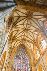 Magnificent vaulting in the nave