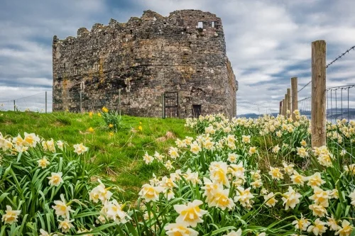 Mingary Castle from the landward side