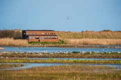 The RSPB visitor centre