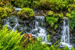 A lovely little cascade